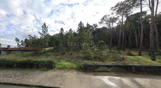Oliveira Do Bairro, 阿威羅 3770-216, 葡萄牙