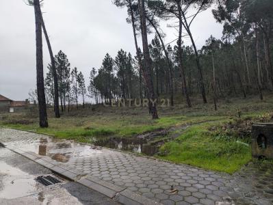 Oliveira Do Bairro, 阿威羅 3770-216, 葡萄牙