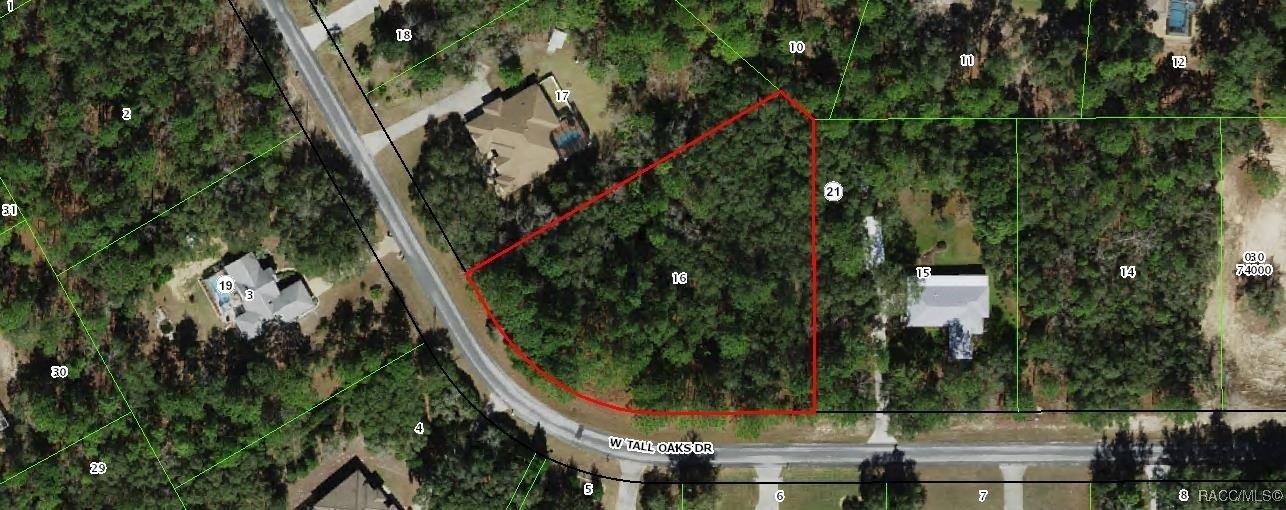 1925 W Tall Oaks Drive Drive, Beverly Hills, Florida 34465