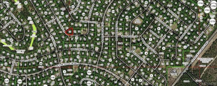 1925 W Tall Oaks Drive Drive, Beverly Hills, Florida 34465