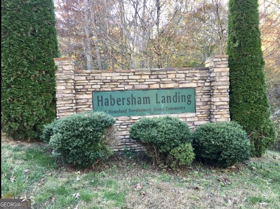Lot 28 Habersham Landing, Demorest, Georgia 30535, USA