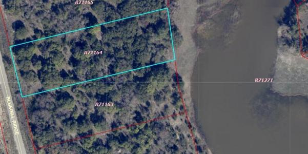 1015 Bluegill Ridge, Bluff Dale, Texas 76433, USA