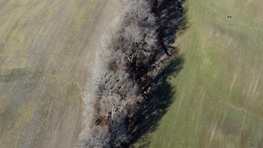 Burrus Rd, Union City, Tennessee 38261, USA