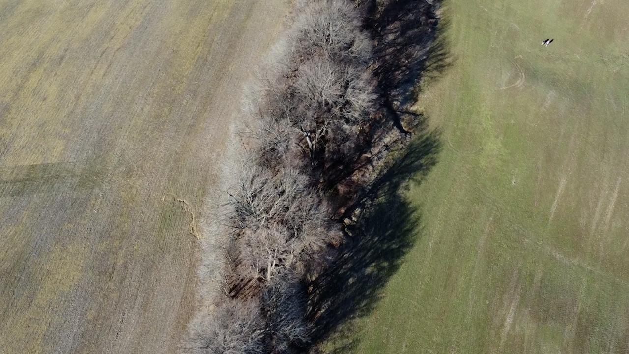 Burrus Rd, Union City, Tennessee 38261