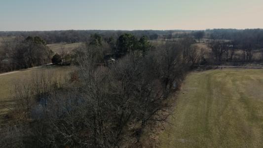 Burrus Rd, Union City, Tennessee 38261
