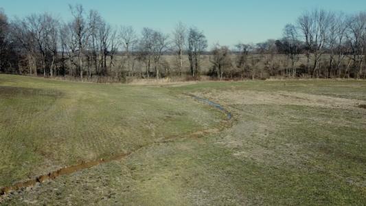 Burrus Rd, Union City, Tennessee 38261