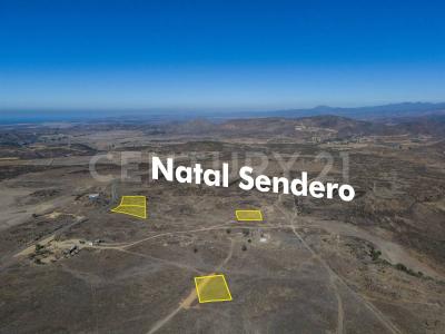 Km 83 Carr Tijuana Ensenada Rancho San Gabriel, 22755 Ensenada, B.C. S/N,, Ensenada, Baja California 22755, Mexico