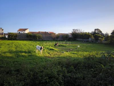 Lagoa, São Miguel Island 9560, Portugal