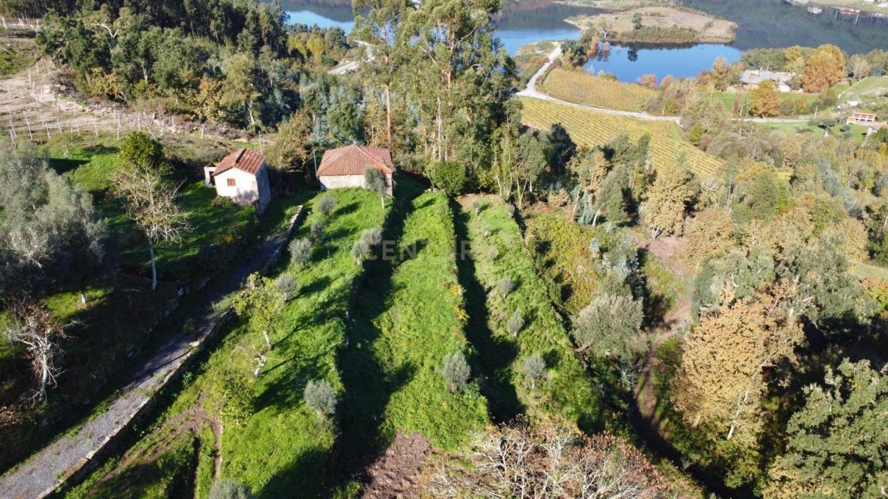 Ribeira De Pena, Vila Real 4870-107, Portugal