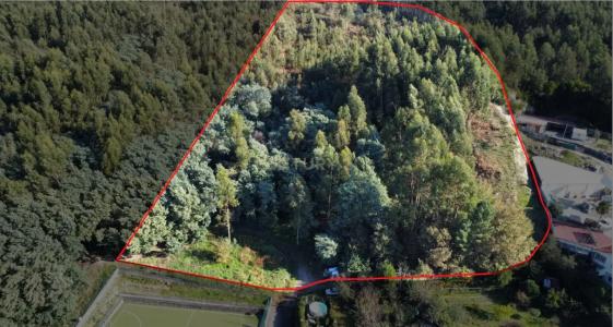 Guimarães, Braga 4810-226, Portogallo