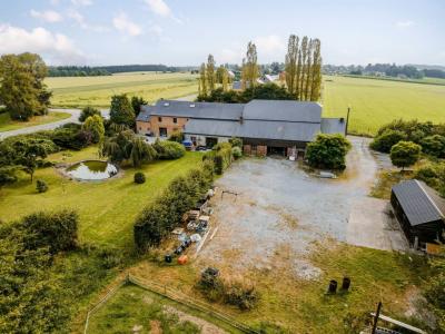 Ferme de l'Etoile 3, Ciney, 5590, 比利时
