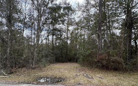 0 Edna Street, Waveland, Mississippi 39576, Estados Unidos