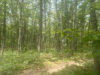 0 Garfield Ave, Roscommon, Michigan 48653, USA