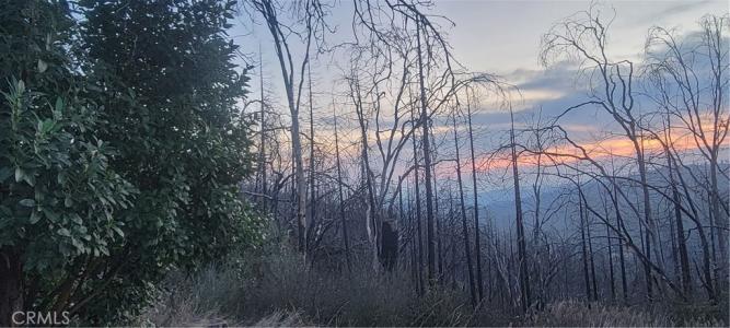 63 Rip Van Way, Berry Creek, California 95916