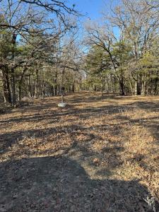 9301 W. 9th Street, Ripley, Oklahoma 74062, USA