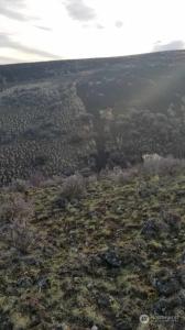 0 George Way, Yakima, 华盛顿州 98901, 美国