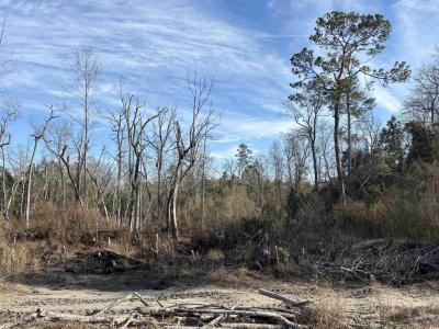 1223 Rainbow Dr., Loris, Caroline Du Sud 29569, États-Unis