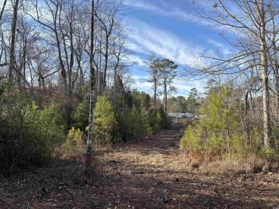 1223 Rainbow Dr., Loris, Carolina Del Sur 29569, Estados Unidos