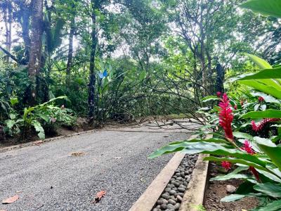 Puerto Cortés Osa, Puntarenas 00001, Costa Rica