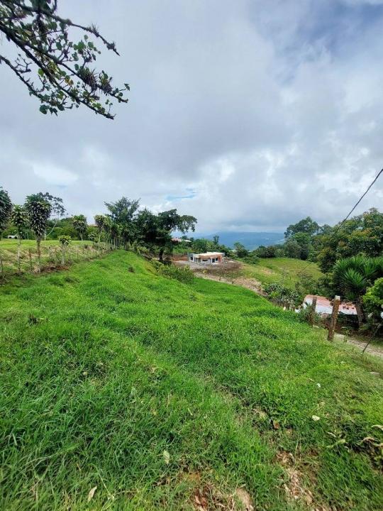 Turrialba Turrialba, Cartago 30501, Costa Rica