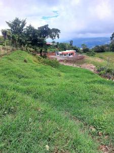 Turrialba Turrialba, Cartago 30501, Costa Rica