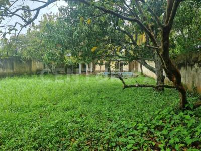 Sector Takín S/N,, Villahermosa Centro, Tabasco 86270, Messico