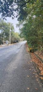 San Pedro Garza García, Nuevo León 66290, México