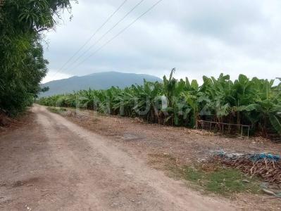 Ejido Caleras Parcela No. 213 Z-1 P4/4,, Tecoman, 科利马 28930, 墨西哥