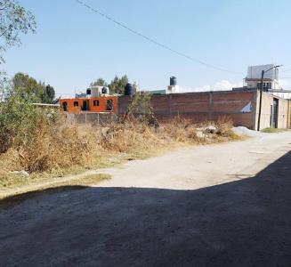 Vecinal S/N,, Texcoco, Estado De México 56263, México