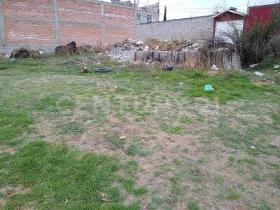 Vecinal S/N,, Texcoco, Estado De México 56263, Mexico