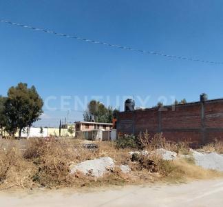 Vecinal S/N,, Texcoco, Estado De México 56263, México