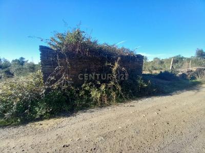 Vila Velha De Ródão, Castelo Branco 6030-113, Portugal