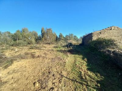 Vila Velha De Ródão, Castelo Branco 6030-113, Portugal