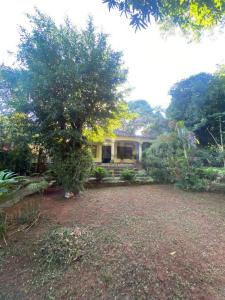 Calle sin nombre, entre Yegros, Juan E Oleary y Tte. Fariña , Caacupé, Cordillera 00001, Paraguay