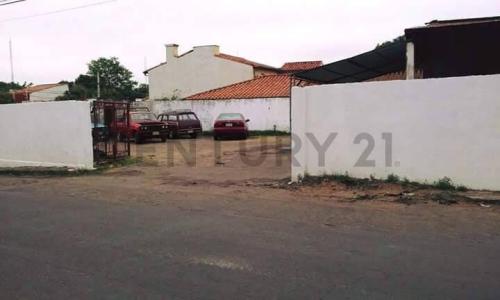 Botánico, Asunción 253698, Paraguai