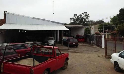 Botánico, Asunción 253698, Paraguai
