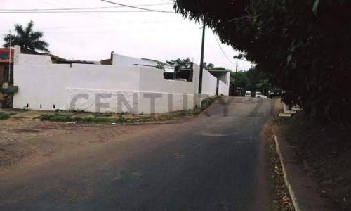 Botánico, Asunción 253698, Paraguai