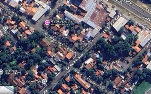 Botánico, Asunción 253698, Paraguai