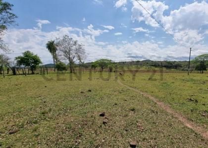 La Colmena, Paraguarí 00001, باراغواي