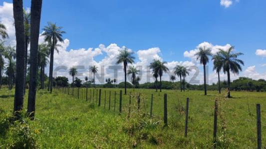 La Colmena, Paraguarí 00001, باراغواي