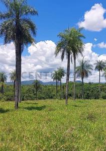La Colmena, Paraguarí 00001, باراغواي
