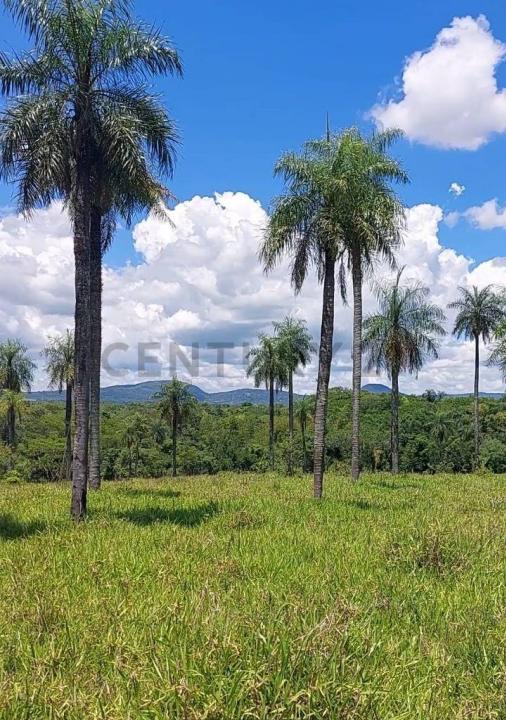 La Colmena, Paraguarí 00001, 巴拉圭