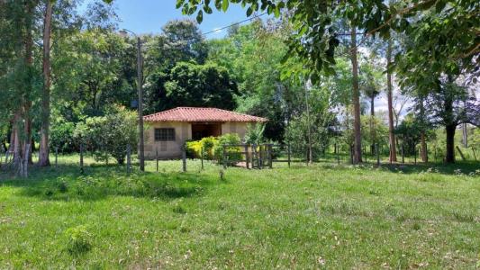 La Colmena, Paraguarí 00001, 巴拉圭
