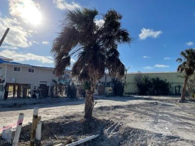 81 Mango Street, Fort Myers Beach, 佛羅里達州 33931, 美國