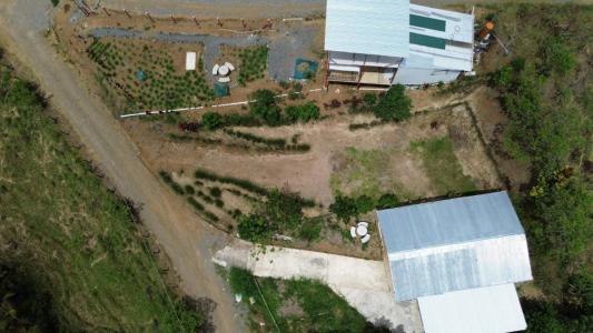 Tuis Turrialba, Cartago 30507, Costa Rica