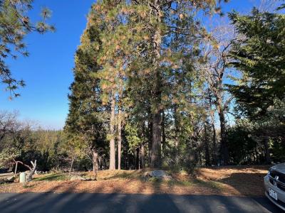 1238 Canyon Ridge Court, Murphys, California 95247, USA