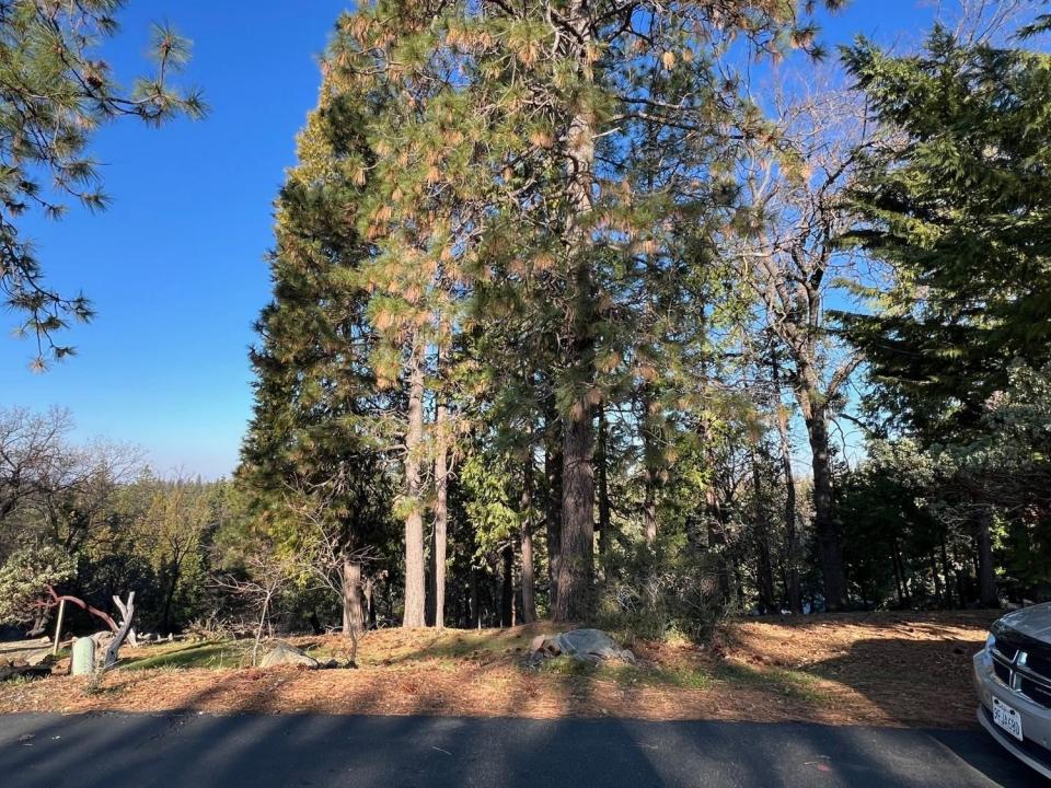 1238 Canyon Ridge Court, Murphys, California 95247