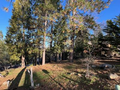 1238 Canyon Ridge Court, Murphys, California 95247