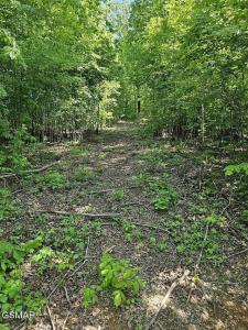 0.93 Acre Nina Rd, White Pine, 田納西州 37890, 美國