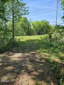 0.93 Acre Nina Rd, White Pine, 田納西州 37890, 美國